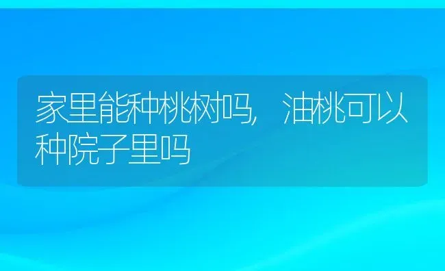 家里能种桃树吗,油桃可以种院子里吗 | 养殖常见问题