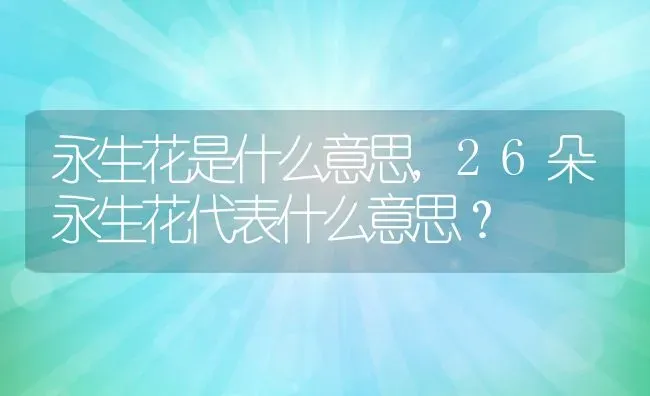 永生花是什么意思,26朵永生花代表什么意思？ | 养殖常见问题