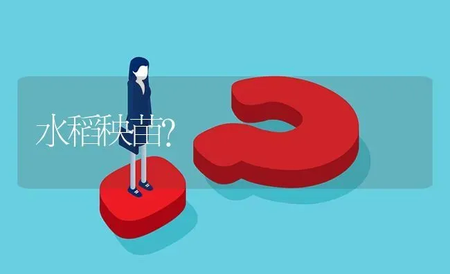 水稻秧苗? | 养殖问题解答