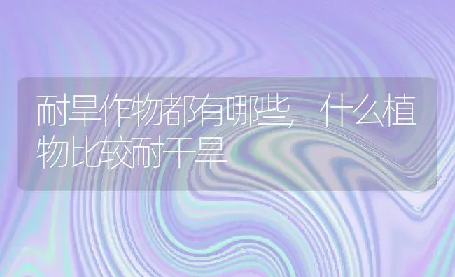 耐旱作物都有哪些,什么植物比较耐干旱 | 养殖常见问题