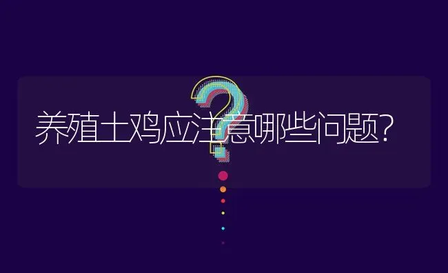 养殖土鸡应注意哪些问题? | 养殖问题解答