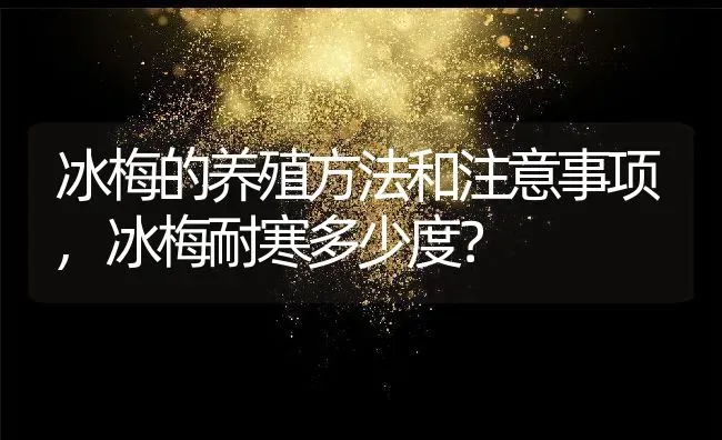 冰梅的养殖方法和注意事项,冰梅耐寒多少度？ | 养殖常见问题