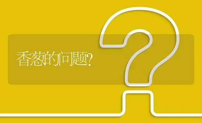 香葱的问题? | 养殖问题解答