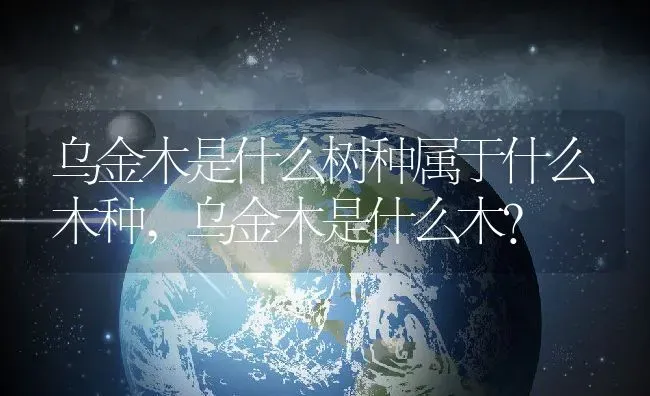 乌金木是什么树种属于什么木种,乌金木是什么木？ | 养殖常见问题