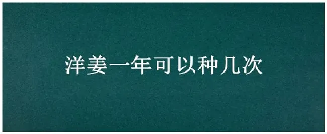 洋姜一年可以种几次 | 农业常识