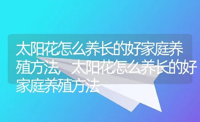 太阳花怎么养长的好家庭养殖方法,太阳花怎么养长的好家庭养殖方法 | 养殖常见问题