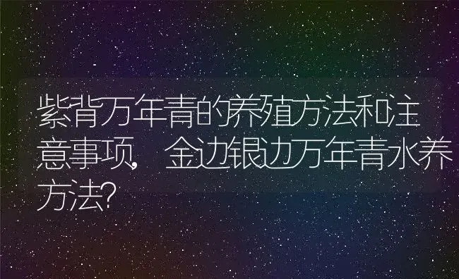 紫背万年青的养殖方法和注意事项,金边银边万年青水养方法？ | 养殖常见问题