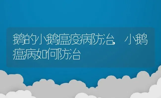 鹅的小鹅瘟疫病防治,小鹅瘟病如何防治 | 养殖常见问题