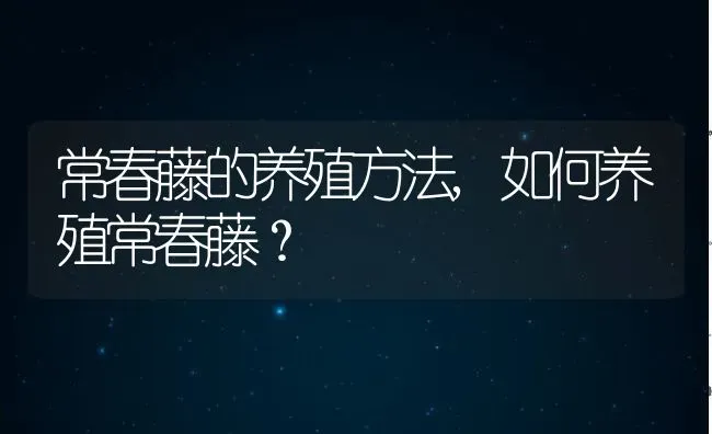 常春藤的养殖方法,如何养殖常春藤？ | 养殖常见问题