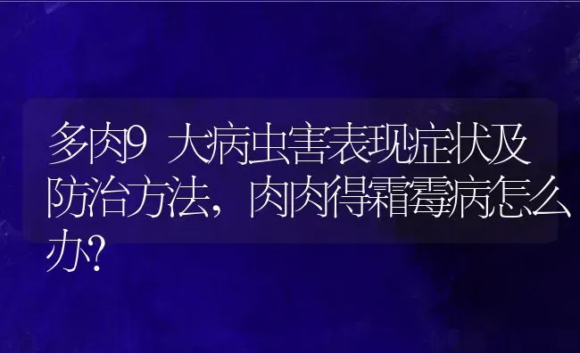 多肉9大病虫害表现症状及防治方法,肉肉得霜霉病怎么办？ | 养殖常见问题