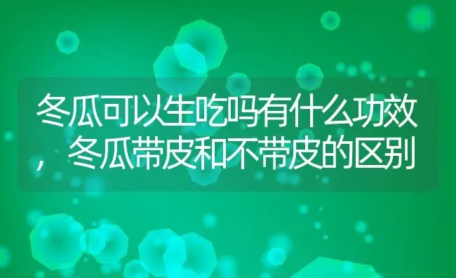 冬瓜可以生吃吗有什么功效,冬瓜带皮和不带皮的区别 | 养殖常见问题