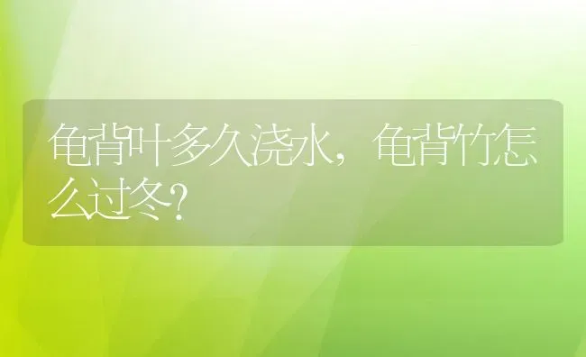 龟背叶多久浇水,龟背竹怎么过冬？ | 养殖常见问题