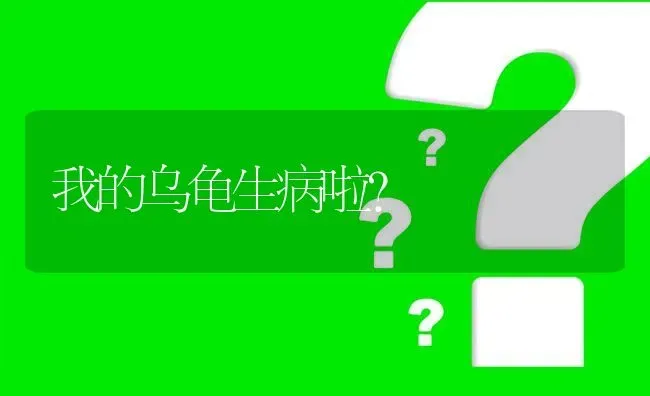 我的乌龟生病啦? | 养殖问题解答