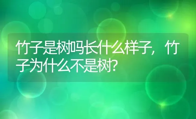 竹子是树吗长什么样子,竹子为什么不是树？ | 养殖常见问题