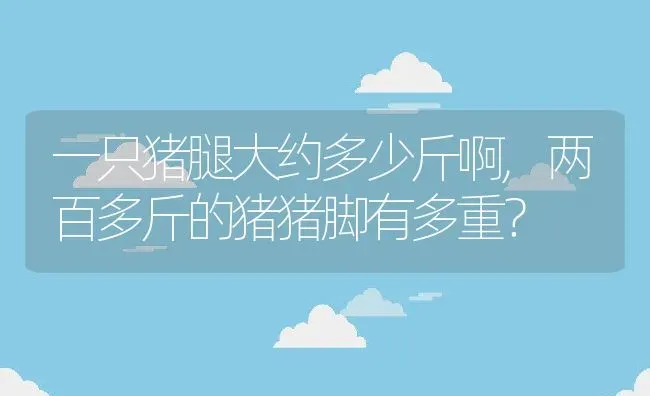 一只猪腿大约多少斤啊,两百多斤的猪猪脚有多重？ | 养殖常见问题