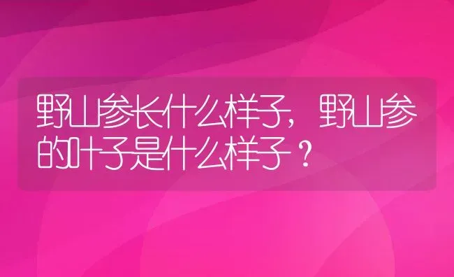 野山参长什么样子,野山参的叶子是什么样子？ | 养殖常见问题