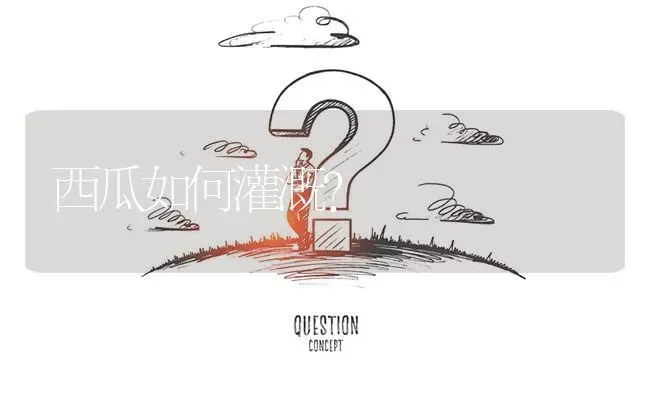 西瓜如何灌溉? | 养殖问题解答