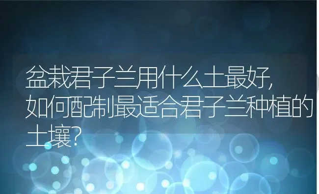 盆栽君子兰用什么土最好,如何配制最适合君子兰种植的土壤？ | 养殖常见问题