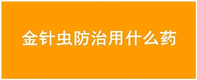 金针虫防治用什么药 | 三农答疑