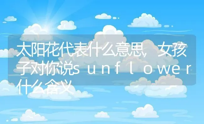 太阳花代表什么意思,女孩子对你说sunflower什么含义 | 养殖常见问题