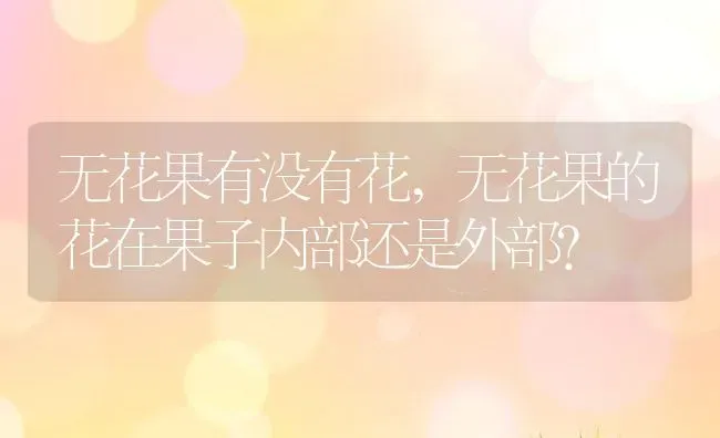 无花果有没有花,无花果的花在果子内部还是外部？ | 养殖常见问题