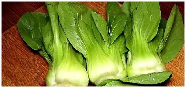 油菜为什么叫上海青 | 科普知识