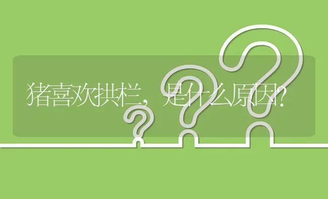 猪喜欢拱栏,是什么原因? | 养殖问题解答