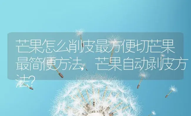 芒果怎么削皮最方便切芒果最简便方法,芒果自动剥皮方法? | 养殖常见问题