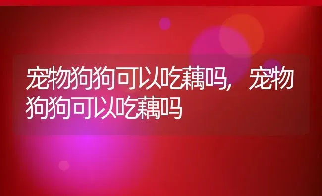 宠物狗狗可以吃藕吗,宠物狗狗可以吃藕吗 | 养殖常见问题