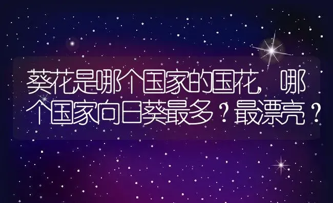 葵花是哪个国家的国花,哪个国家向日葵最多？最漂亮？ | 养殖常见问题