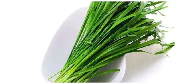 韭菜疫病特效药 | 农业常识