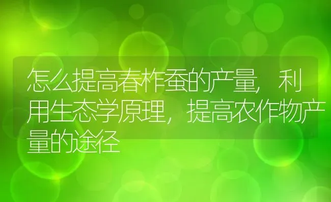 怎么提高春柞蚕的产量,利用生态学原理，提高农作物产量的途径 | 养殖常见问题