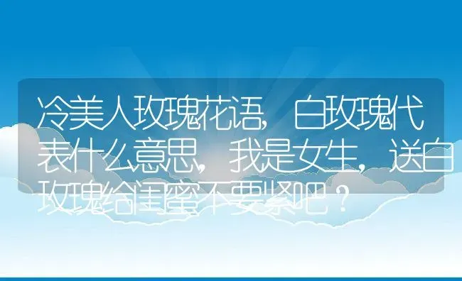 冷美人玫瑰花语,白玫瑰代表什么意思，我是女生，送白玫瑰给闺蜜不要紧吧？ | 养殖常见问题