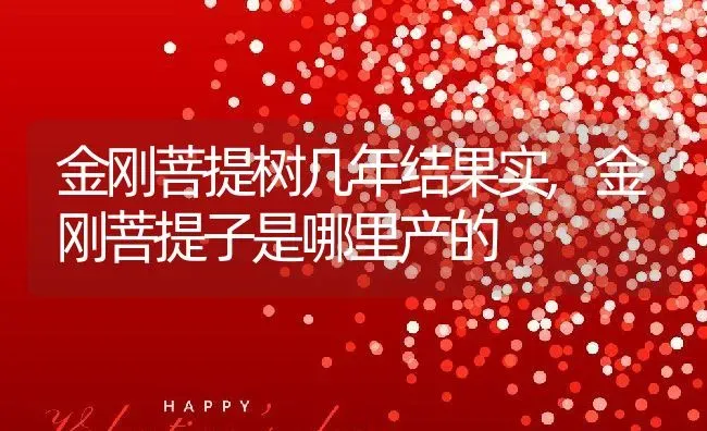 金刚菩提树几年结果实,金刚菩提子是哪里产的 | 养殖常见问题