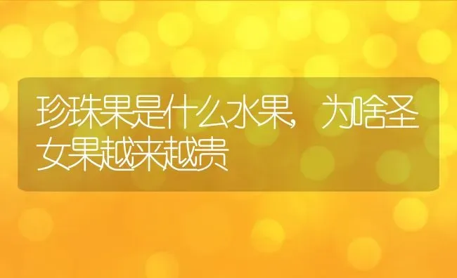 珍珠果是什么水果,为啥圣女果越来越贵 | 养殖常见问题