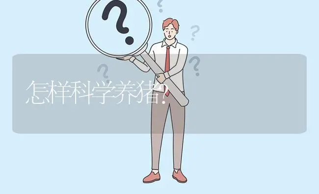 怎样科学养猪? | 养殖问题解答