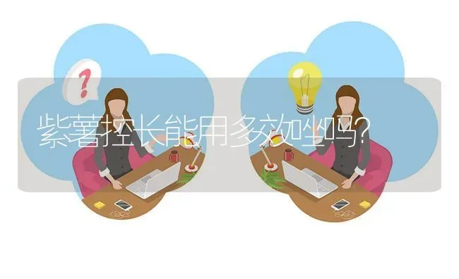 紫薯控长能用多效唑吗? | 养殖问题解答