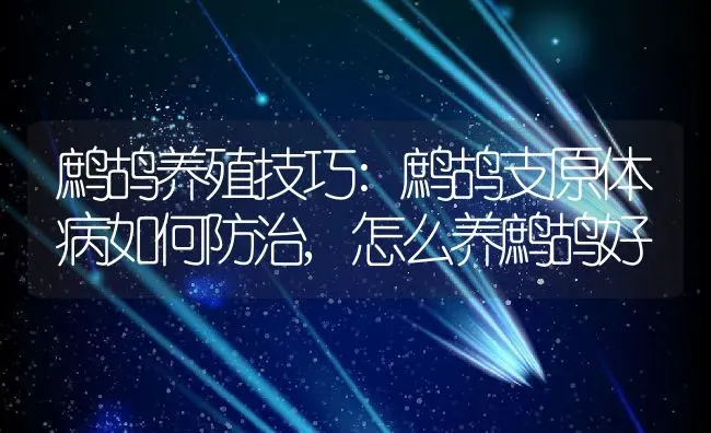 鹧鸪养殖技巧:鹧鸪支原体病如何防治,怎么养鹧鸪好 | 养殖常见问题