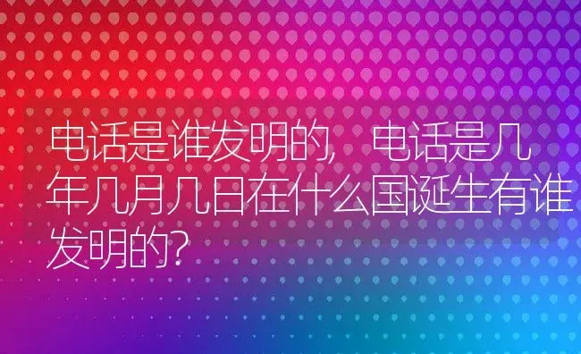 电话是谁发明的,电话是几年几月几日在什么国诞生有谁发明的？ | 养殖常见问题