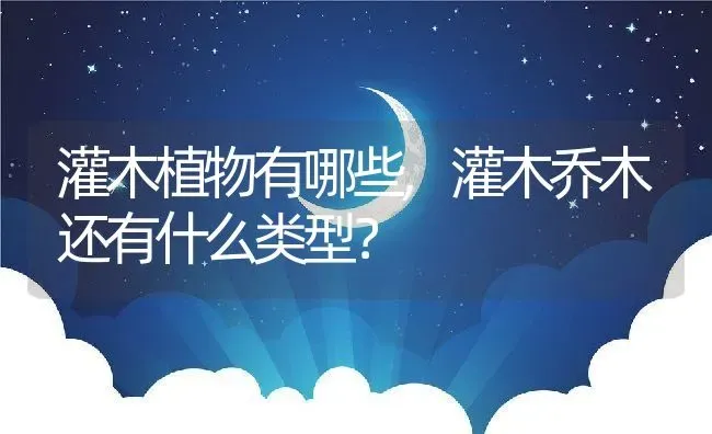 灌木植物有哪些,灌木乔木还有什么类型？ | 养殖常见问题