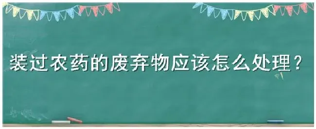 装过农药的废弃物应该怎么处理 | 农业问题