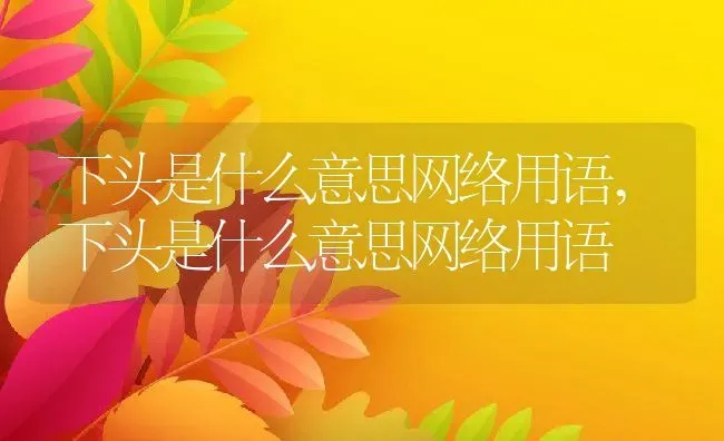 下头是什么意思网络用语,下头是什么意思网络用语 | 养殖常见问题