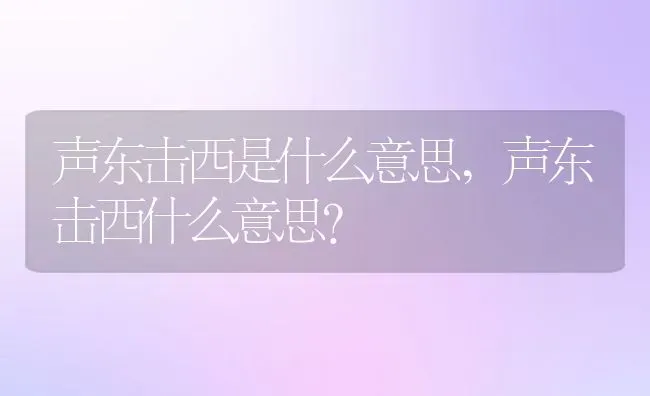 声东击西是什么意思,声东击西什么意思？ | 养殖常见问题