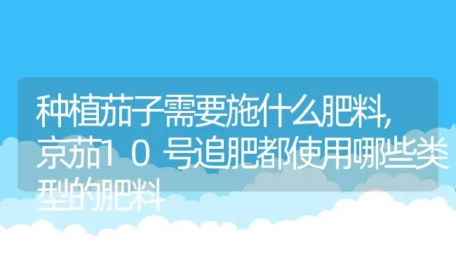 种植茄子需要施什么肥料,京茄10号追肥都使用哪些类型的肥料 | 养殖常见问题