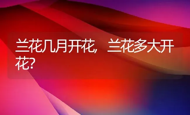 兰花几月开花,兰花多大开花？ | 养殖常见问题
