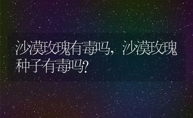 沙漠玫瑰有毒吗,沙漠玫瑰种子有毒吗？ | 养殖常见问题