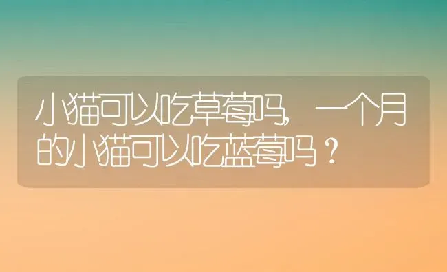 小猫可以吃草莓吗,一个月的小猫可以吃蓝莓吗？ | 养殖常见问题