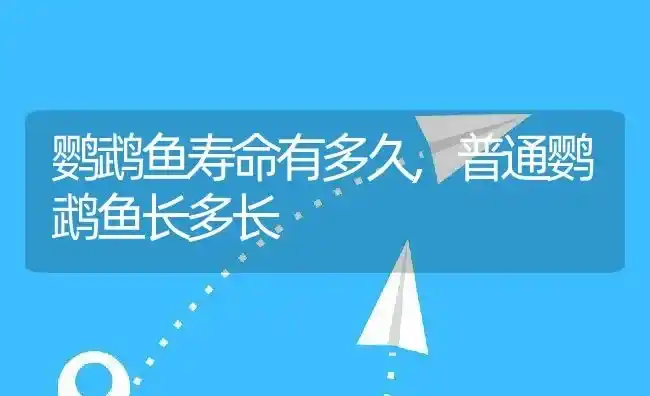 鹦鹉鱼寿命有多久,普通鹦鹉鱼长多长 | 养殖常见问题