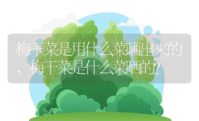 梅干菜是用什么菜晒出来的,梅干菜是什么菜晒的？ | 养殖常见问题