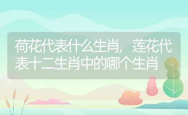 荷花代表什么生肖,莲花代表十二生肖中的哪个生肖 | 养殖常见问题